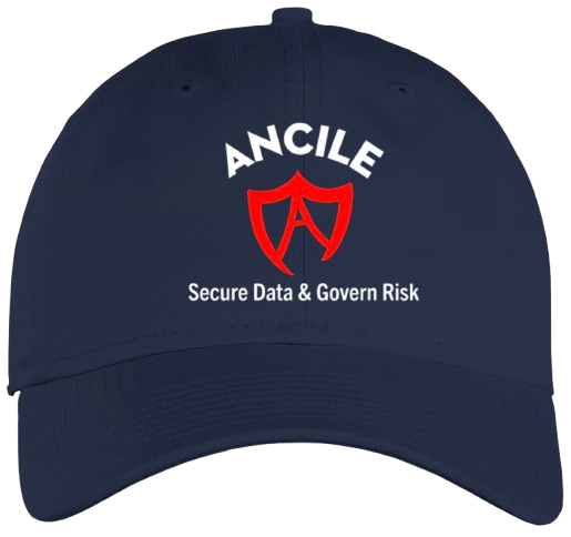 Ancile AI | Data Security Platform